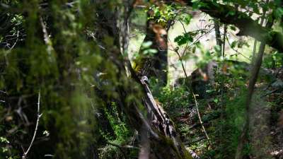 L'image n'est pas encore d&eacute;crite, veuillez nous en excuser.